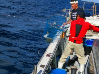 第二清洋丸 釣果