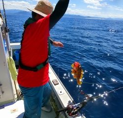 第二清洋丸 釣果