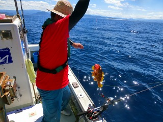 第二清洋丸 釣果