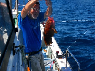 第二清洋丸 釣果