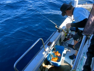 第二清洋丸 釣果