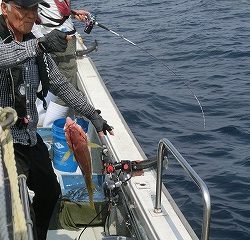 第二清洋丸 釣果