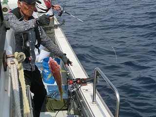 第二清洋丸 釣果