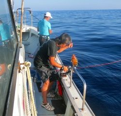 第二清洋丸 釣果