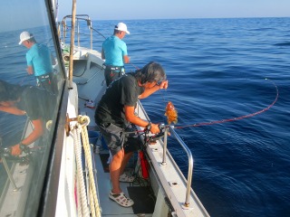 第二清洋丸 釣果