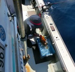 第二清洋丸 釣果