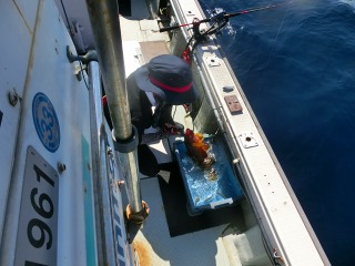 第二清洋丸 釣果