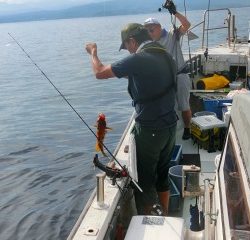 第二清洋丸 釣果