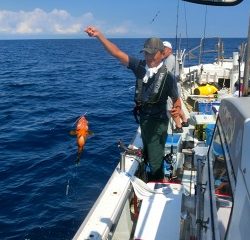 第二清洋丸 釣果