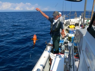 第二清洋丸 釣果