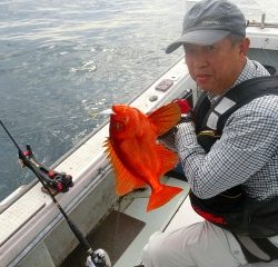 第二清洋丸 釣果