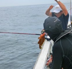 第二清洋丸 釣果