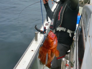 第二清洋丸 釣果