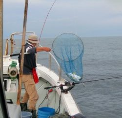 第二清洋丸 釣果