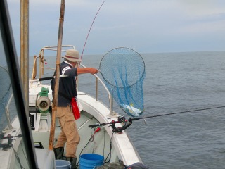 第二清洋丸 釣果