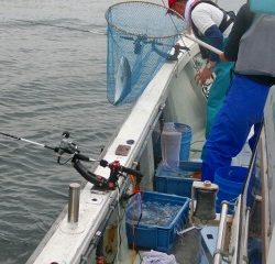 第二清洋丸 釣果