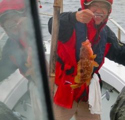 第二清洋丸 釣果