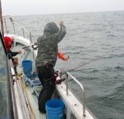 第二清洋丸 釣果