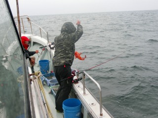 第二清洋丸 釣果