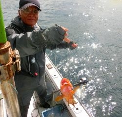 第二清洋丸 釣果