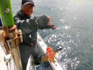 第二清洋丸 釣果