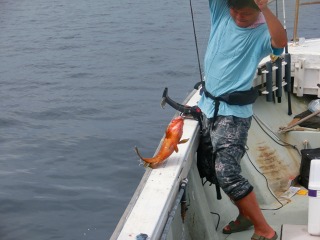 第二清洋丸 釣果