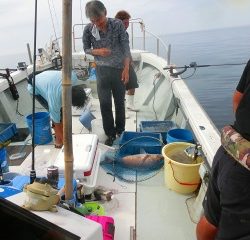 第二清洋丸 釣果