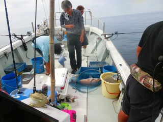 第二清洋丸 釣果