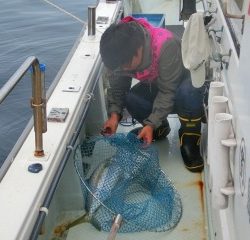 第二清洋丸 釣果