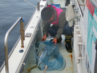 第二清洋丸 釣果