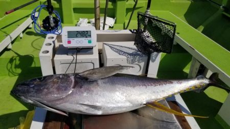 ゆたか丸 釣果