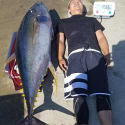 ゆたか丸 釣果