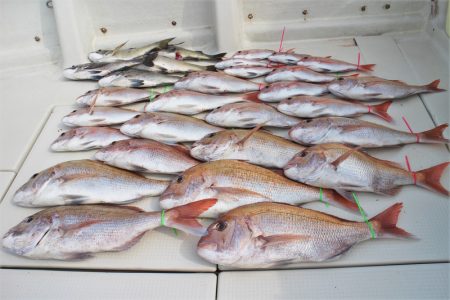 KIM Fishing Guide Ser…