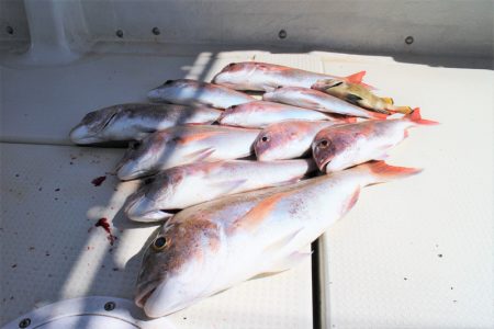 KIM Fishing Guide Ser…