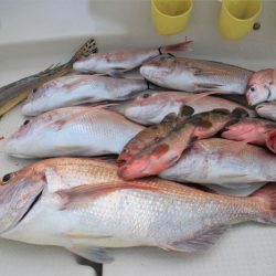 KIM Fishing Guide Service 釣果