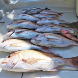 KIM Fishing Guide Service 釣果