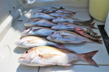 KIM Fishing Guide Ser…