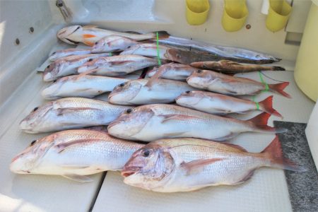 KIM Fishing Guide Ser…