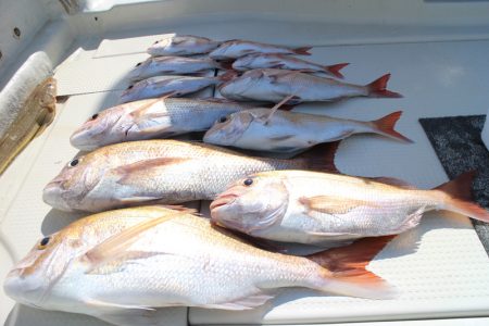 KIM Fishing Guide Ser…