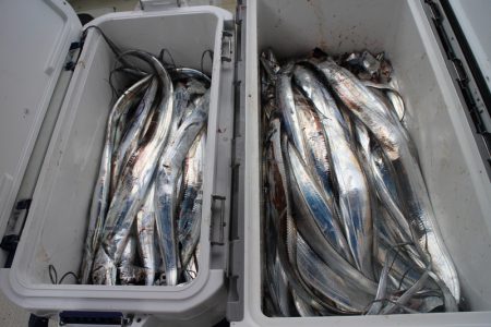 KIM Fishing Guide Ser…