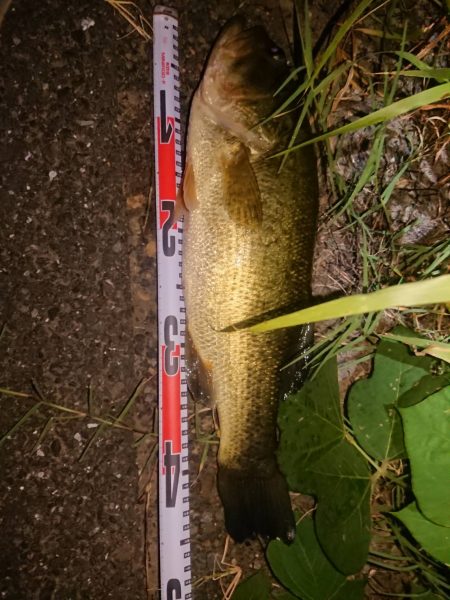 トライザ スパルナはスモラバも使いやすい！【メガバス（Megabass）トライザ　インプレッション】