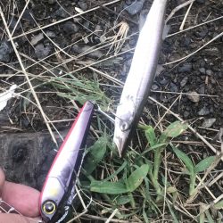 ジャックアイエースのみで勝負！【ハヤブサ（Hayabusa）ジャックアイエース　インプレッション】