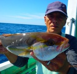 増福丸 釣果