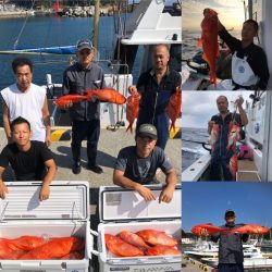 番匠高宮丸 釣果