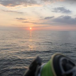 青物バラしまくった泣