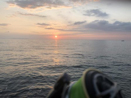 青物バラしまくった泣