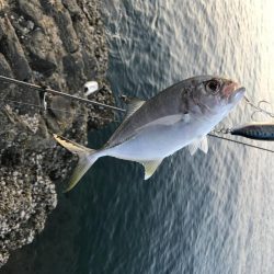 北西爆風の南紀でエギングとショアジギング