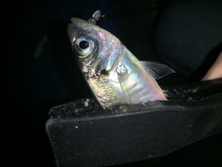 アーバンサイドアジング