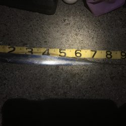 タチウオよ 何処へ?