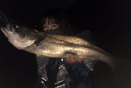 雨上がりシーバス